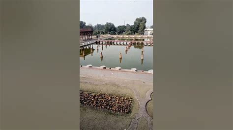 weather in shalimar